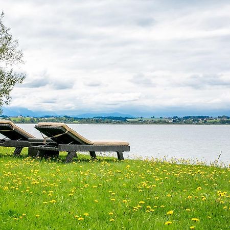 Hotel Seebrunn Am Wallersee Henndorf am Wallersee Eksteriør billede