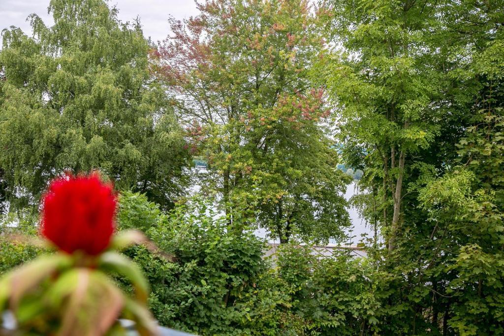 Hotel Seebrunn Am Wallersee Henndorf am Wallersee Eksteriør billede